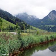 Schwarzsee im Senseland 051.jpg